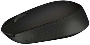 Logitech B170